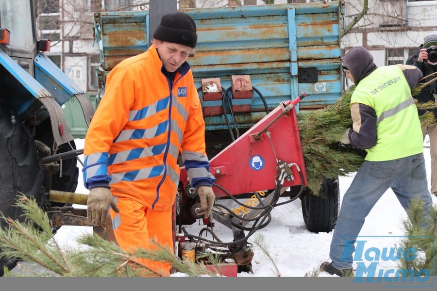 В Днепре заработали пункты приёма ёлок: куда нести деревья. Новости Днепра