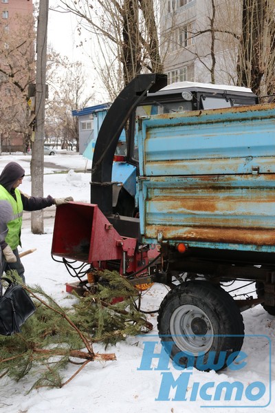 В Днепре заработали пункты приёма ёлок: куда нести деревья. Новости Днепра