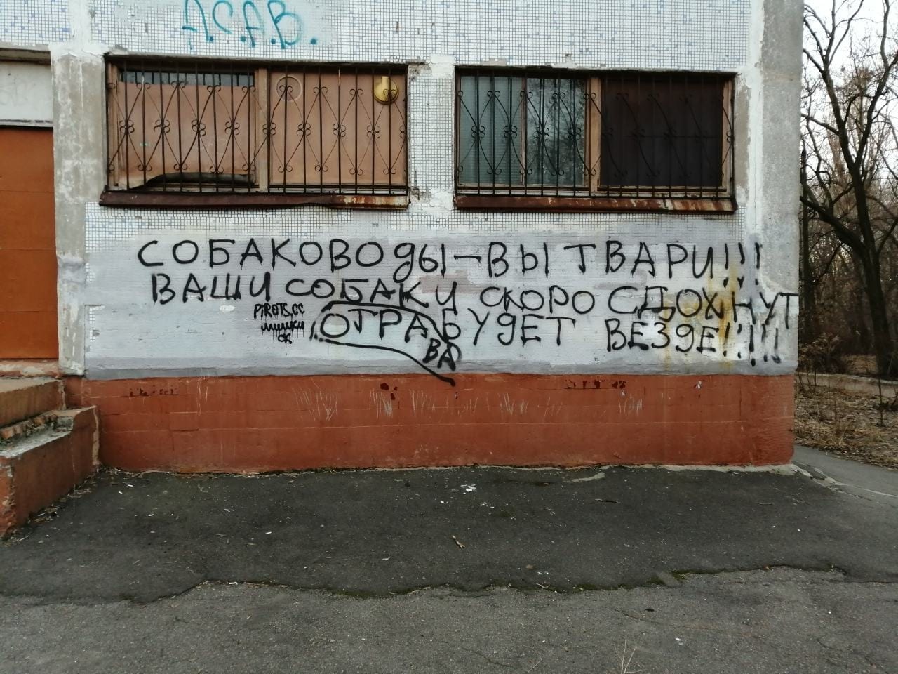 "Отрава будет везде": в Днепре догхантеры объявили войну владельцам собак. Новости Днепра