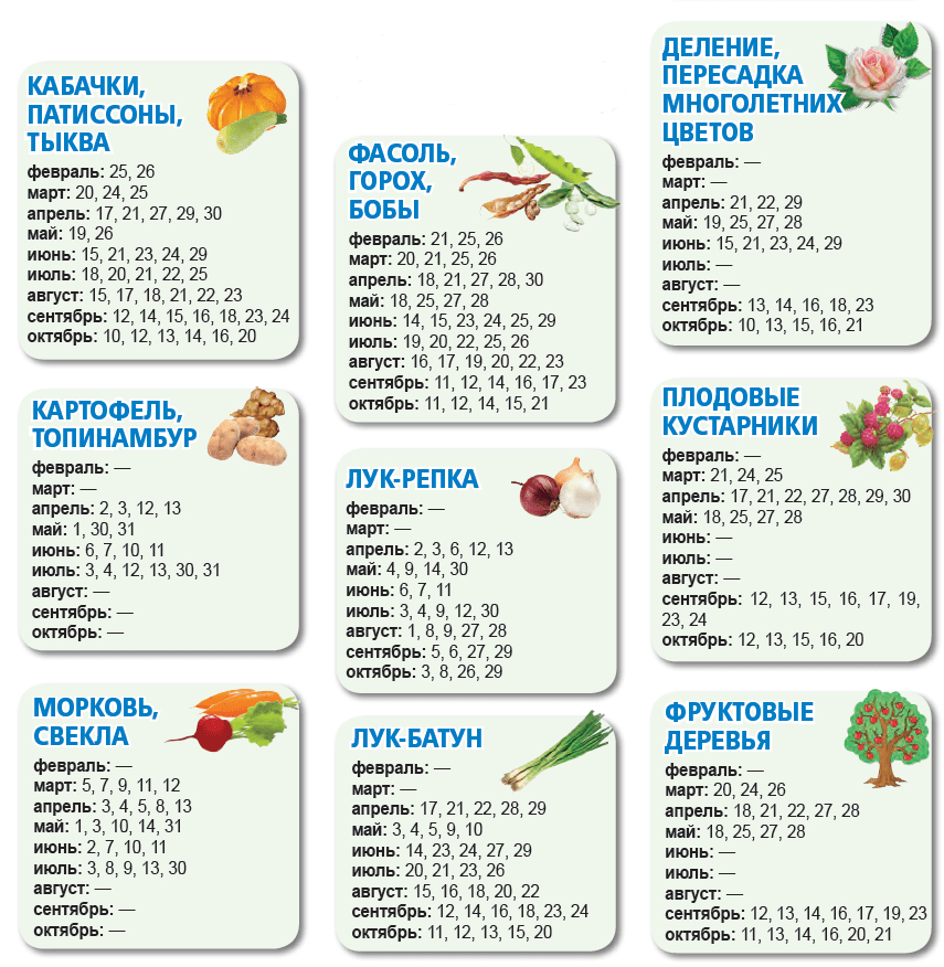 Огородникам Днепра на заметку: посевной календарь-2019. Новости Днепра