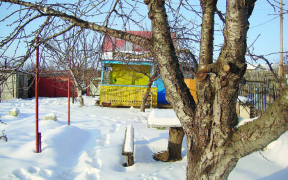 В Днепр идут холода: как защитить свой сад от перепадов температур. Новости Днепра