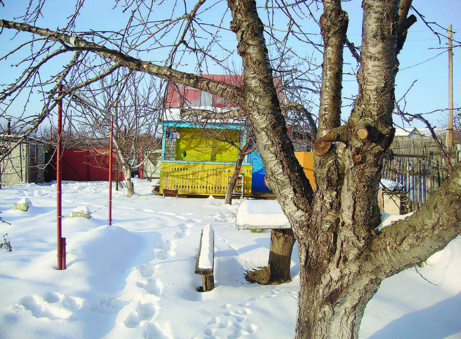 В Днепр идут холода: как защитить свой сад от перепадов температур. Новости Днепра