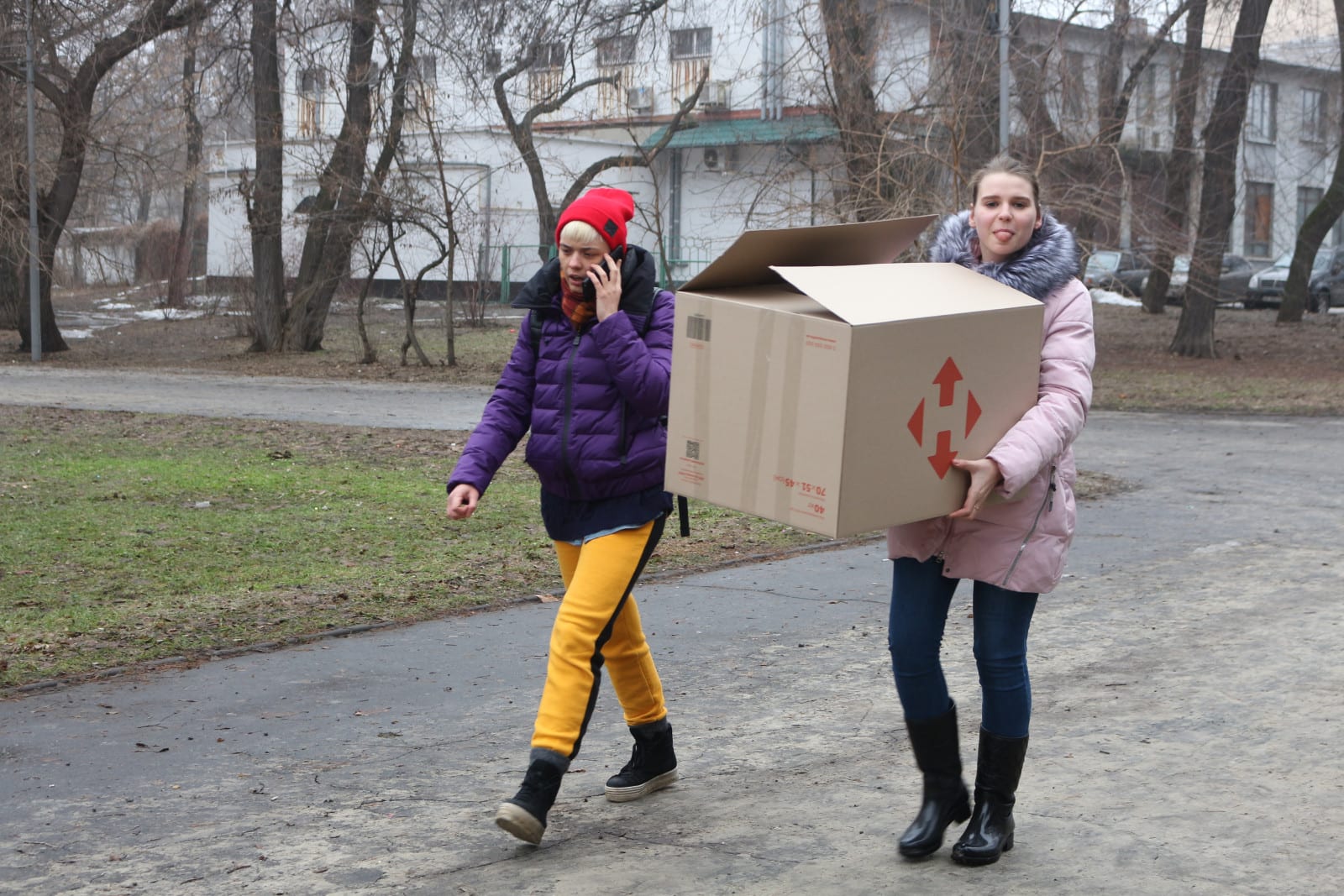 В Днепре волонтеры с боем забрали искалеченного лебедя с парка Глобы. Новости Днепра