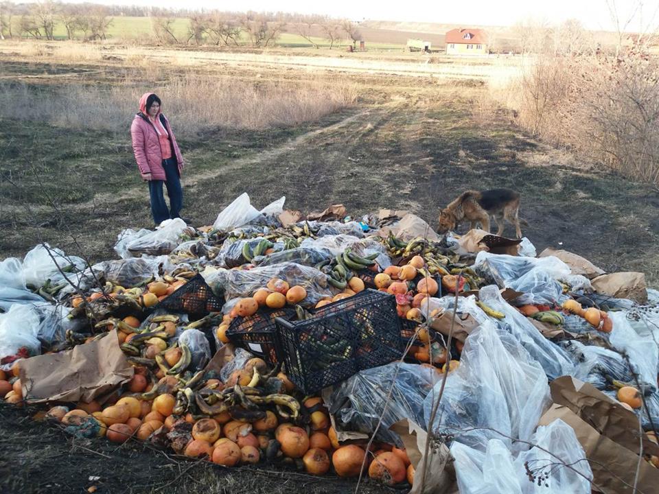 Под Днепром неизвестный вывалил гору гнилых продуктов под носом у местных жителей. Новости Днепра