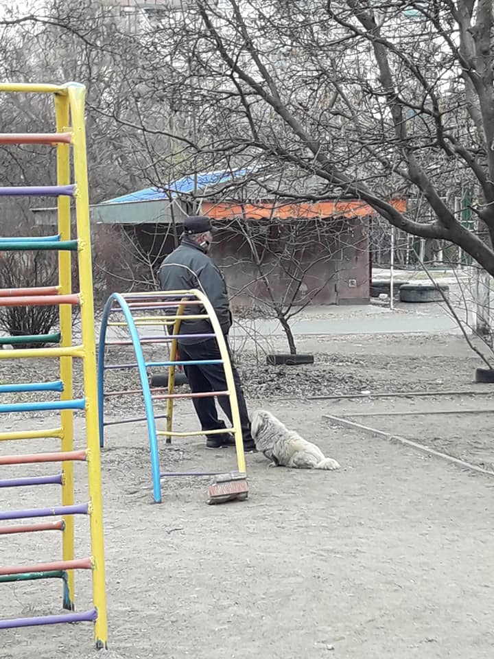 В Днепре на Левом берегу собачники "оккупировали" детскую площадку. Новости Днепра