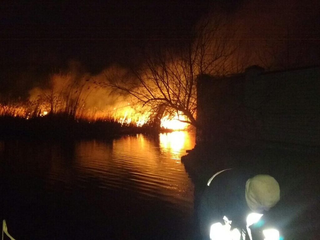 Днепрян попросили не трогать маленьких зайчат. Новости Днепра