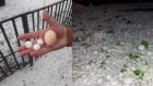 Град размером с куриное яйцо и дороги в снегу: в Украине на Пасху бушевала непогода (Фото, видео). Новости Днепра