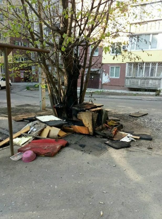 В Днепре на Соколе во дворах сожгли будки для бездомных собак: зоозощитники негодуют. Новости Днепра