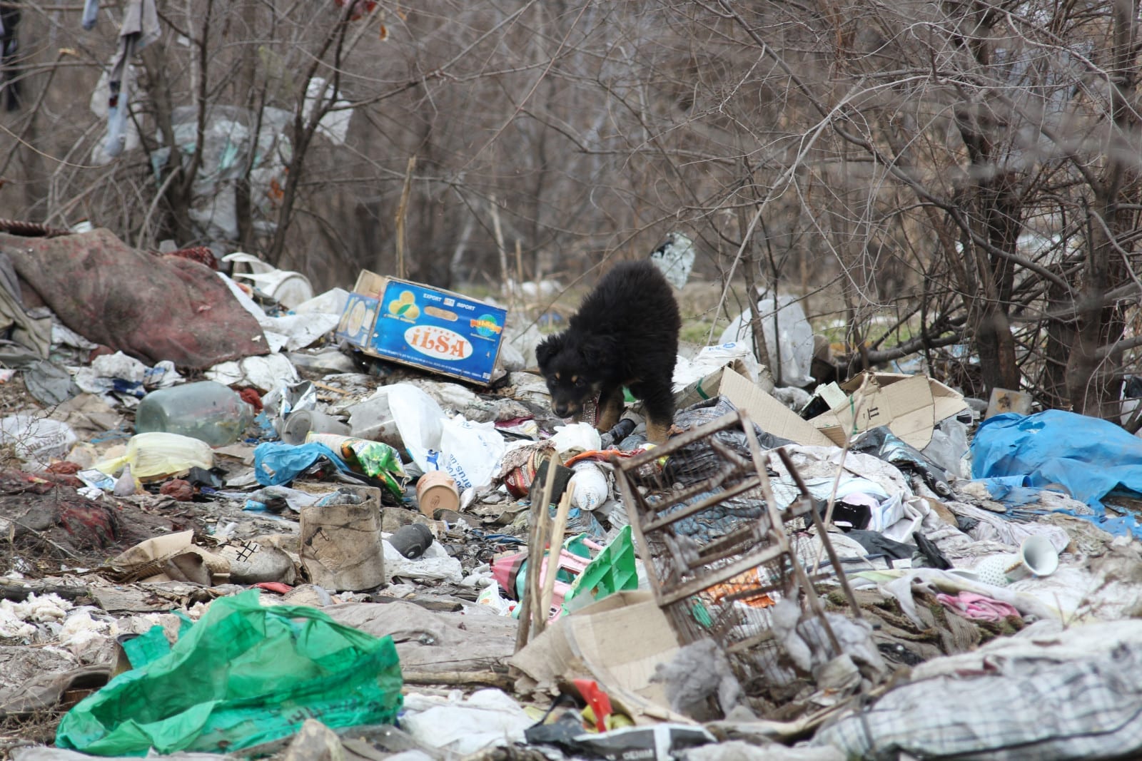Горы мусора и вонь: в Днепре возле Запорожского шоссе обосновалось "поселение" бездомных. Новости Днепра