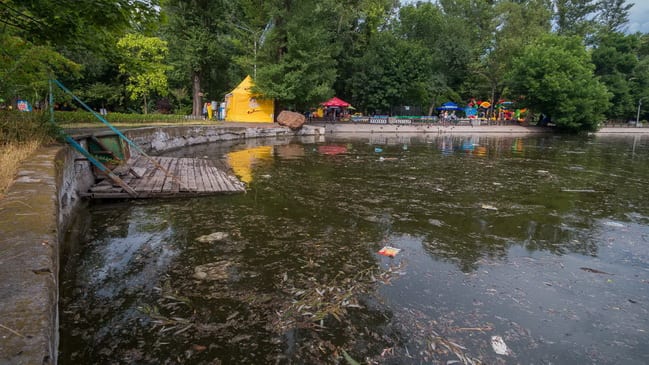 Надоел колхозный рынок в центре города: Филатов решил уволить директора парка им. Глобы. Новости Днепра