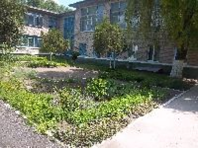 Детский сад №198