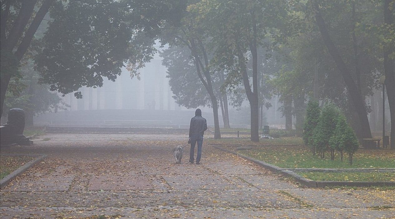 В Днепре планируют реконструировать главный парк города. Новости Днепра