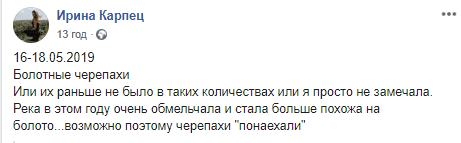 Под Днепром болотные черепахи захватили речку (Фото). Новости Днепра