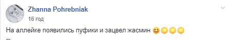 Уют и комфорт: на левом берегу Днепра появились необычные пуфики (Фото). Новости Днепра