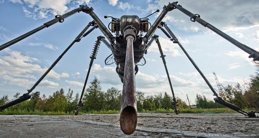 В Днепре появились огромные комары-драконы (Фото). Новости Днепра