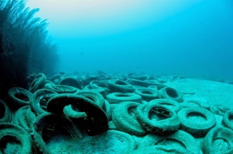 Колоссальная угроза Азовскому морю: в Бердянске в воду сбрасывают шины (Фото). Новости Днепра