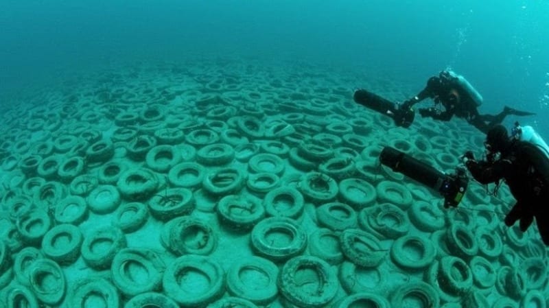 Колоссальная угроза Азовскому морю: в Бердянске в воду сбрасывают шины (Фото). Новости Днепра