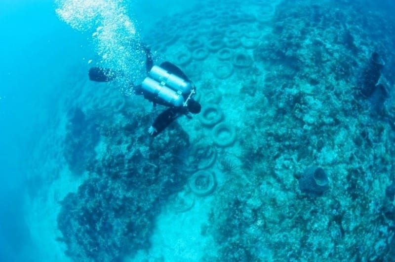 Колоссальная угроза Азовскому морю: в Бердянске в воду сбрасывают шины (Фото). Новости Днепра