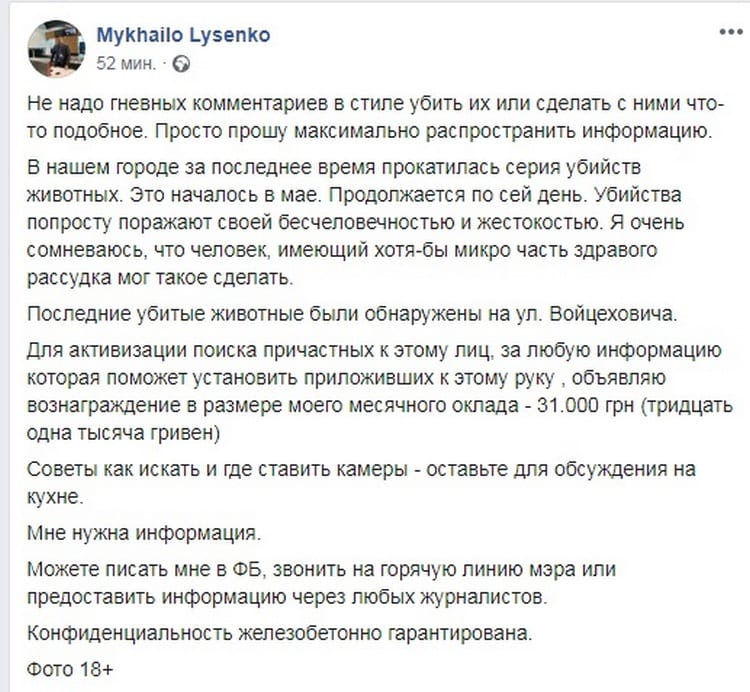 В Днепре прокатилась серия убийств животных: заммэра объявил вознаграждение. Новости Днепра