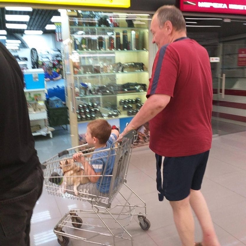 В супермаркете Днепра мужчина возил в тележке ребенка с собакой (Фото). Новости Днепра