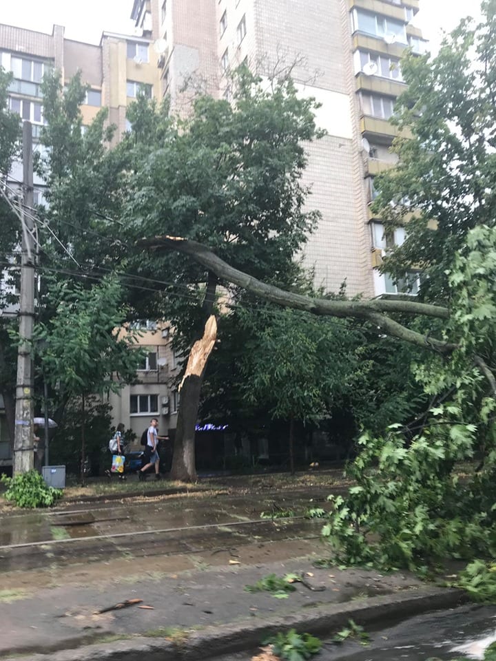 На Киев обрушилась стихия: деревья сломаны, трамваи остановились (Фото). Новости Днепра