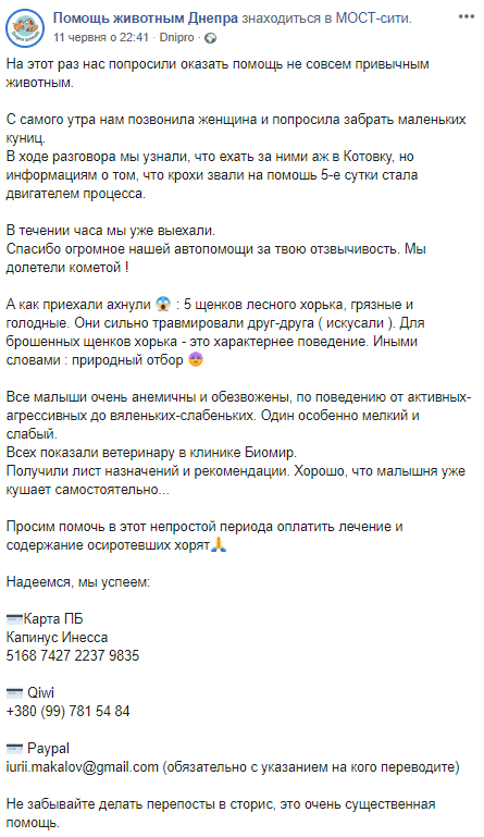 Под Днепром 5-е сутки просят о помощи необычные малыши (Фото). Новости Днепра