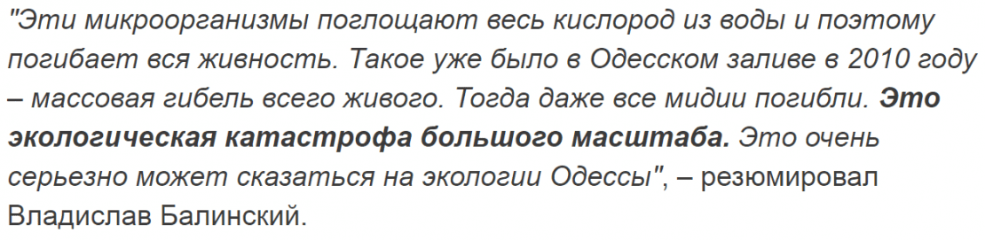 Массовая гибель всего живого: в Одессе море превращается в ядовитое болото (Фото, видео). Новости Днепра