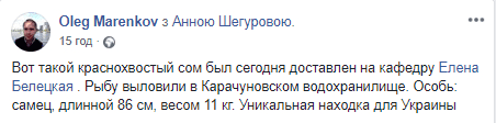 Уникальная находка для Украины: в Карачуновском водохранилище пойман хищник из Амазонки (Фото). Новости Днепра