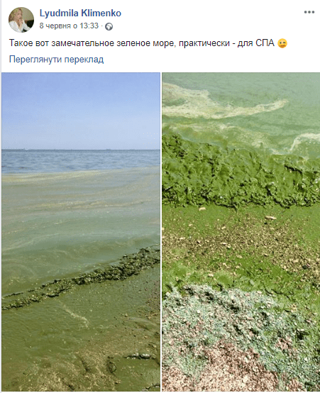 Массовая гибель всего живого: в Одессе море превращается в ядовитое болото (Фото, видео). Новости Днепра