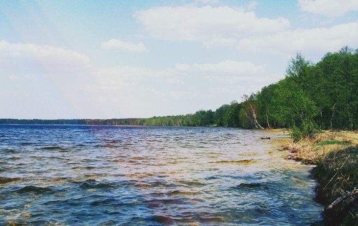 Фото белое озеро белоозерский