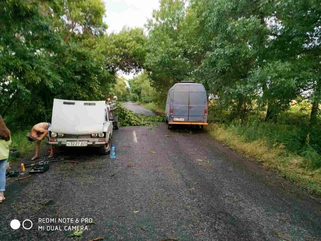 Ураганный ветер валил деревья на дороги и машины: на Днепропетровщине ликвидируют последствия стихии (Фото). Новости Днепра