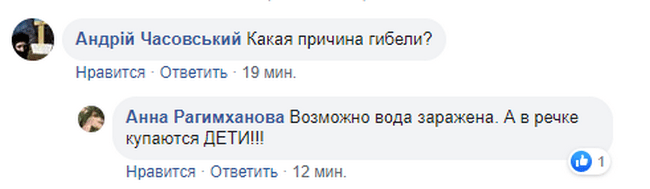 Под Днепром массово гибнут черепахи: местные жители бьют тревогу (Фото). Новости Днепра