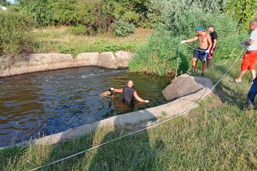 Под Днепром дети купались в бассейне с трупом (фото). Новости Днепра