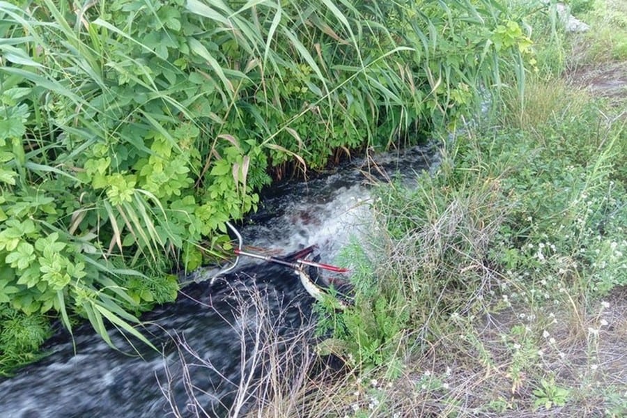 Под Днепром дети купались в бассейне с трупом (фото). Новости Днепра