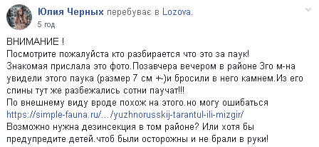 В Харьковской области обнаружили ядовитого мизгиря (Фото). Новости Днепра