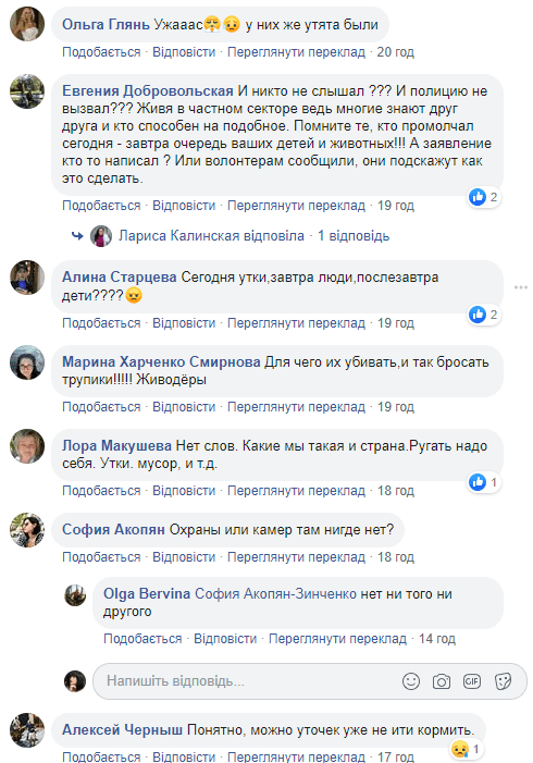 На левом берегу Днепра случился массовый расстрел уток: подробности. Новости Днепра