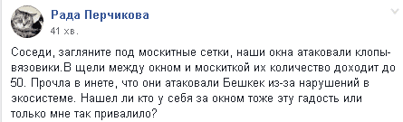 В Днепре нашествие кусучих вязовых клопов (Фото). Новости Днепра