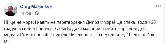 Медузы-хищницы атаковали реки Днепра: чем это чревато (Фото). Новости Днепра