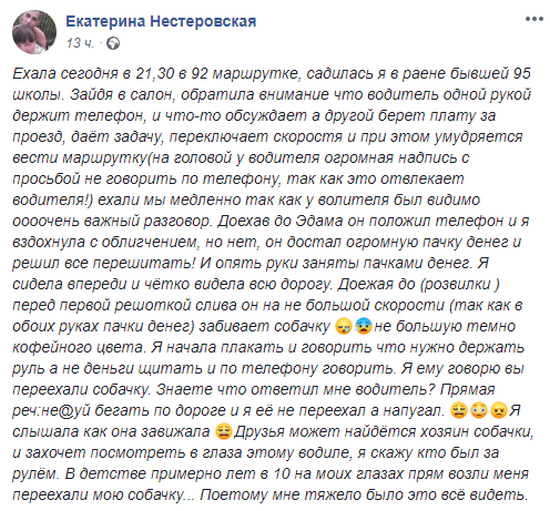 Я плакала, она громко визжала: в Днепре маршрутчик сбил собаку и нагрубил пассажирке. Новости Днепра