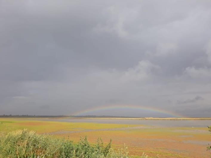 Отдых на Азовском море после бури запомнится отдыхающим настоящим чудом природы (Фото). Новости Днепра