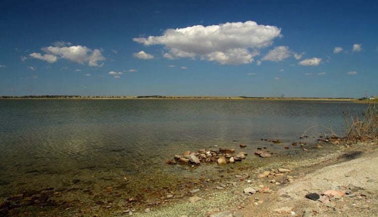 Отдых на Азовском море не перестает удивлять: красота песчаного полуострова в Приморске завораживает. Новости Днепра