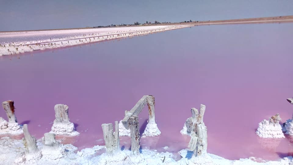 Отдых на Азовском море круче, чем заграницей: Розовое озеро - животворящее чудо природы (Фото). Новости Днепра