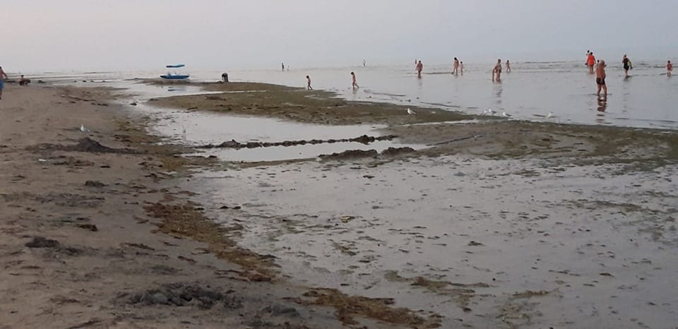 Азовское море в Генгорке покинуло берега и сильно воняет (Фото). Новости Днепра