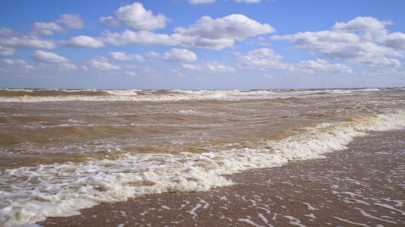 На Азовском море происходит катастрофа: ученые не знают, что делать (Фото). Новости Днепра