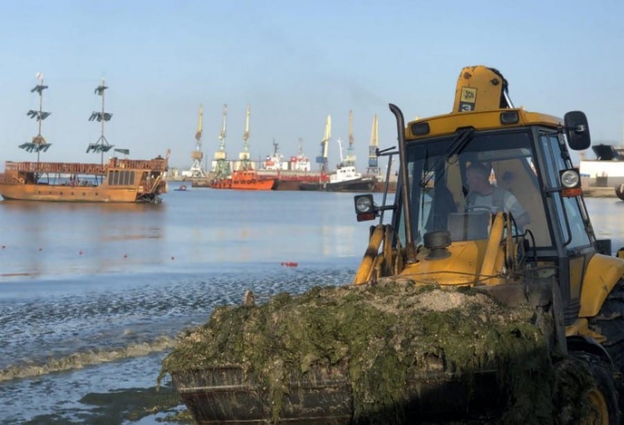 Катастрофа на пляжах Бердянска: побережье тонет в водорослях. Новости Днепра