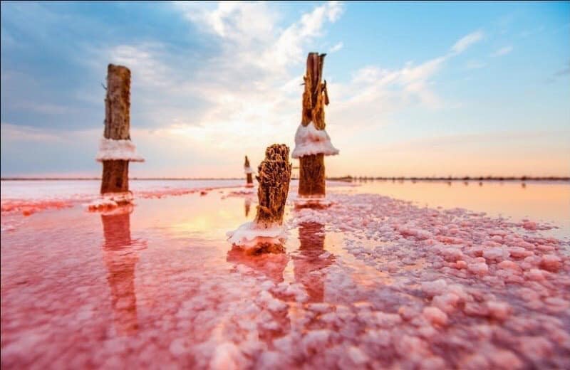 Отдых на Азовском море в сентябре: как доехать на уникальное Розовое озеро (Фото). Новости Днепра