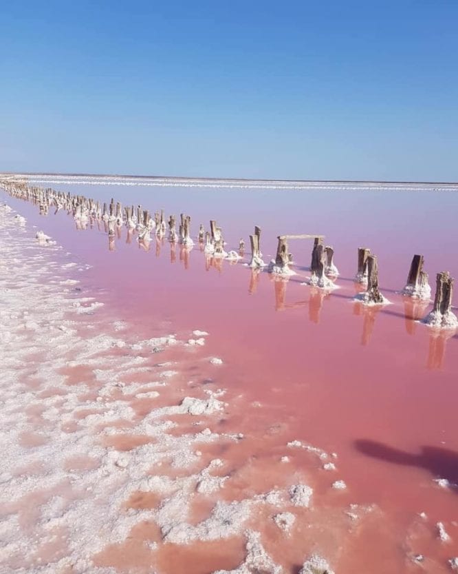 Отдых на Азовском море в сентябре: как доехать на уникальное Розовое озеро (Фото). Новости Днепра