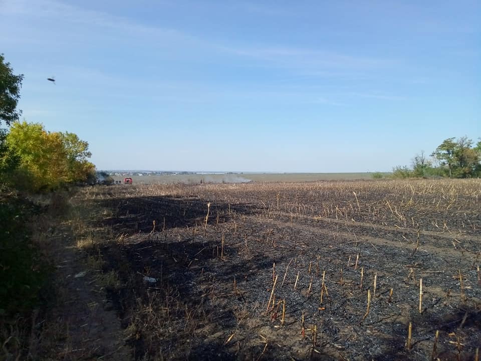 Под Днепром огромный пожар четь не уничтожил все вокруг. Новости Днепра