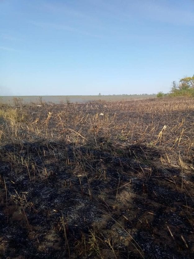 Под Днепром огромный пожар четь не уничтожил все вокруг. Новости Днепра