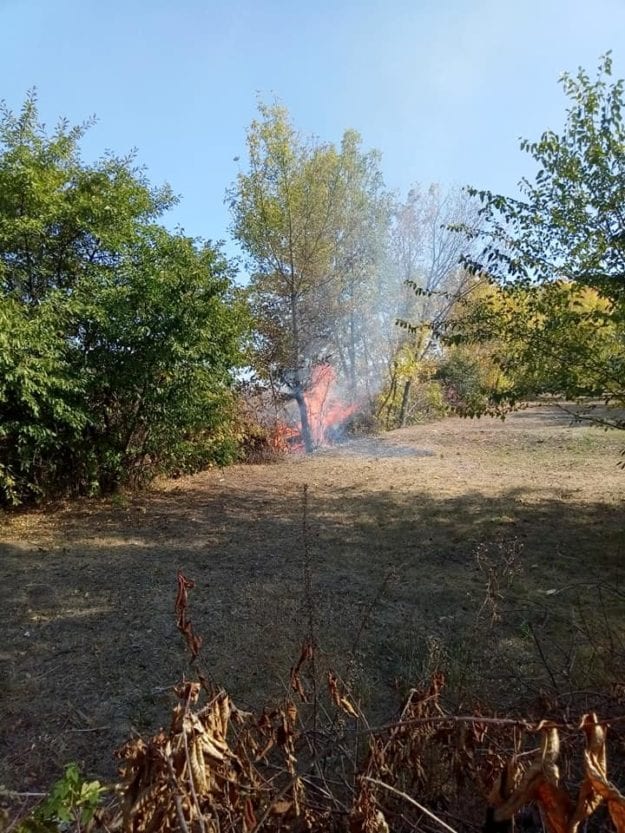 Под Днепром огромный пожар четь не уничтожил все вокруг. Новости Днепра